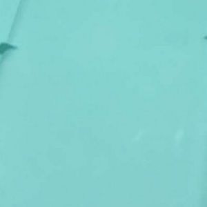 Meet your Posher, Karis